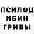 Галлюциногенные грибы Cubensis STEPAN YARESKO