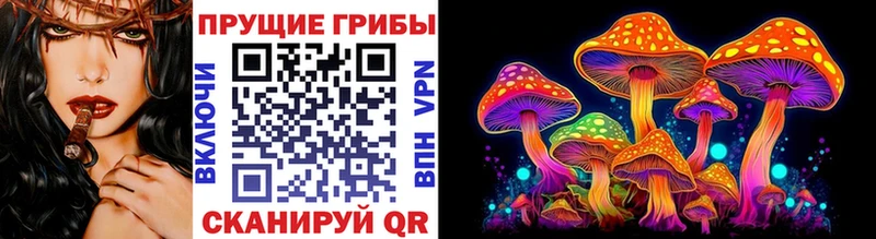 Галлюциногенные грибы Cubensis  Купить где  Невель 
